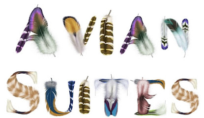 Avian Suites - The Gold Standard in Companion Bird Boarding