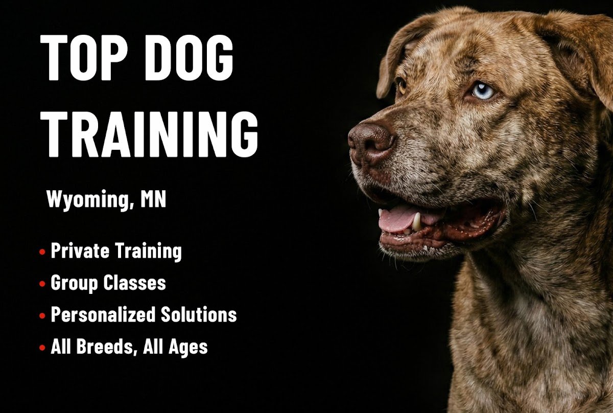 Top Dog Training LLC - Photo 2