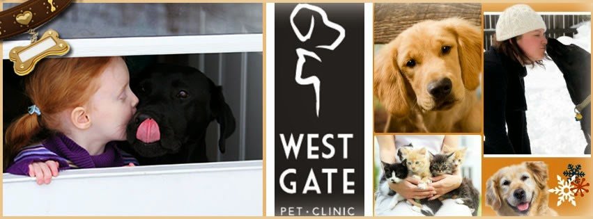 Westgate Pet Clinic - Photo 2
