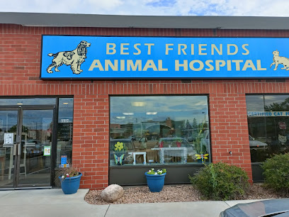 Best Friends Animal Hospital