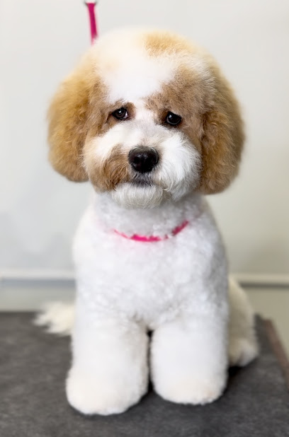 The Crafted Canine Dog Spa