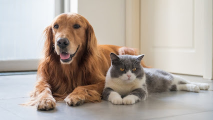 Tierarzt München, Team für Tiere – Tierarztpraxis am Gasteig (vormals Dr. Maul & Dr. Herget)