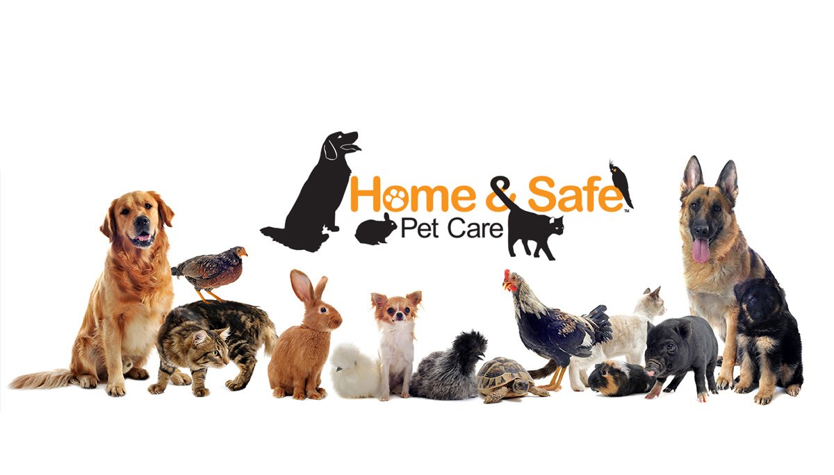 Home & Safe Pet Care LLC - Photo 2