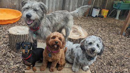 Siriusly Smart Dog Training