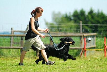 Hundepension Maier Standort München / Station Hol- und Bringservice