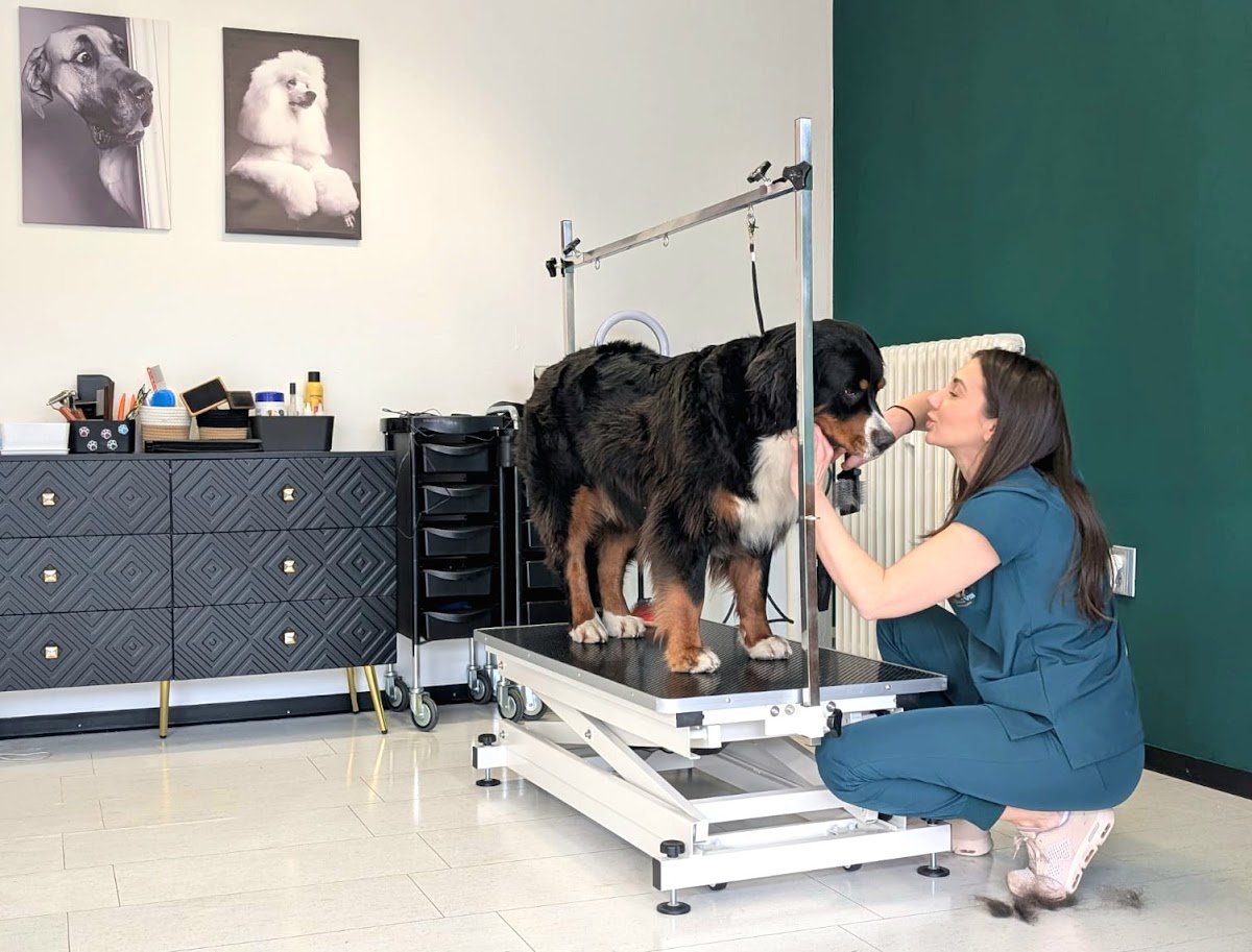 La Jolie Vie Hundesalon - Foto 2