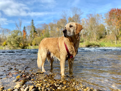 Freiläufer München (Tarad‘or GmbH)