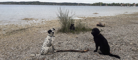 Hundeprofi-München®