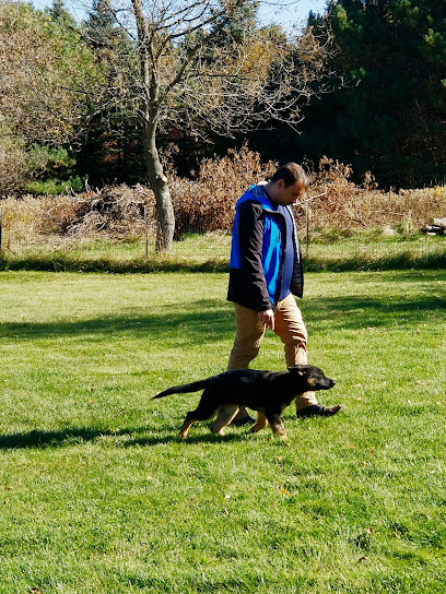 Brunell Canine Solutions