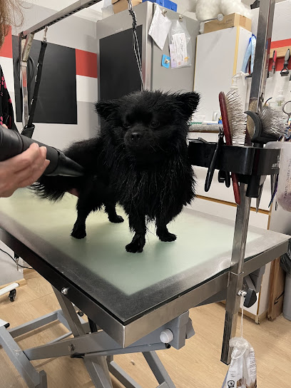 Hundefriseur FellTag - Tierhandlung in Köln