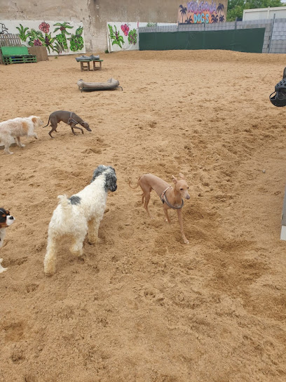 Dogs Place - Die Betreuung speziell für kleine Hunde