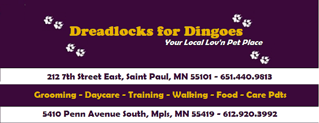 Dreadlocks For Dingoes