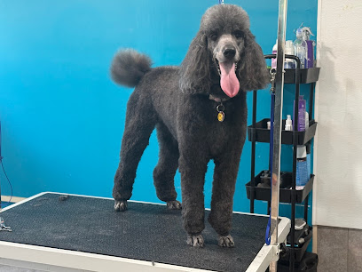 Tails of Persia Pet Spa