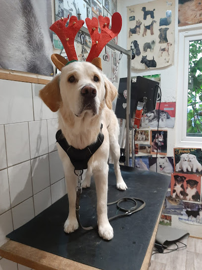 Hundesalon Rocky - Tierhandlung in Köln