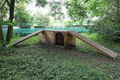 Hundespielplatz Köln