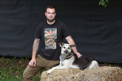 Hundeweide Am Heidstamm