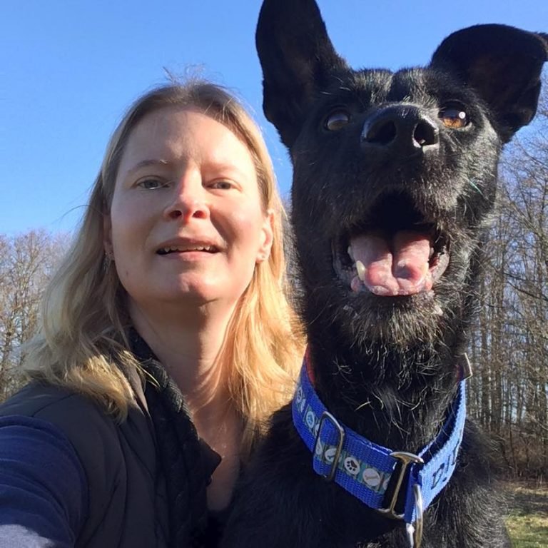 Hundephysiotherapie Pfoten(T)Raum Franca Oehlenberg - Foto 2