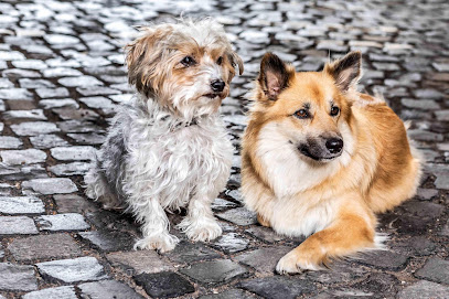Baltes und Dr. Feith | Tierarzt Praxis in Köln