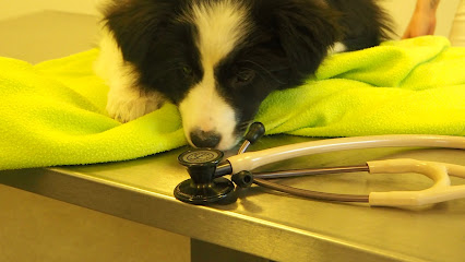 Tierarztpraxis am Stadtwald