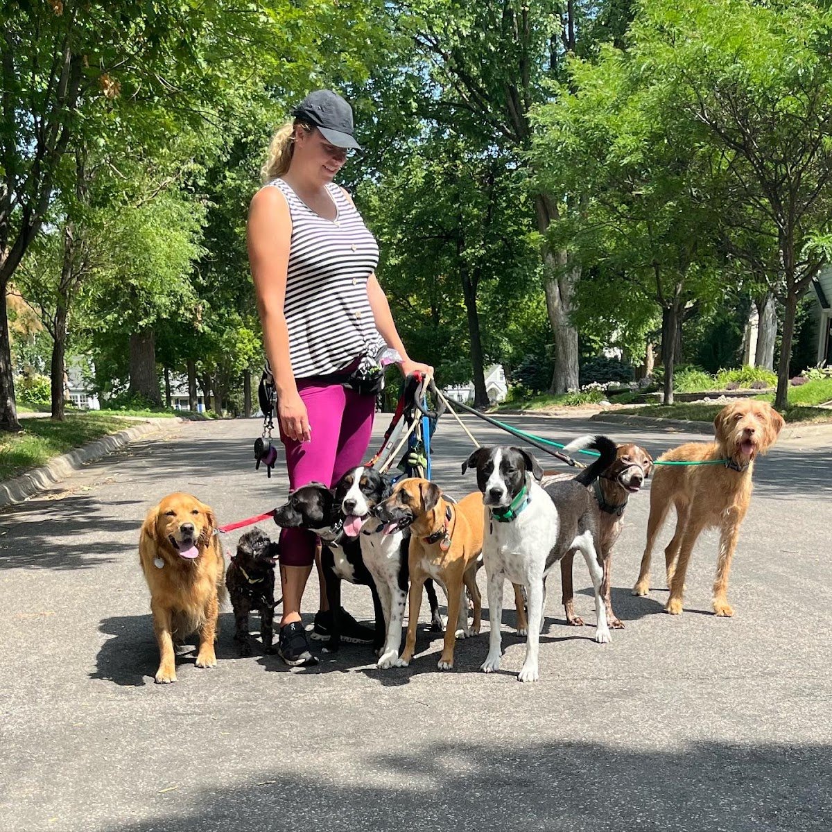 Brody's Buddies MN - Photo 2