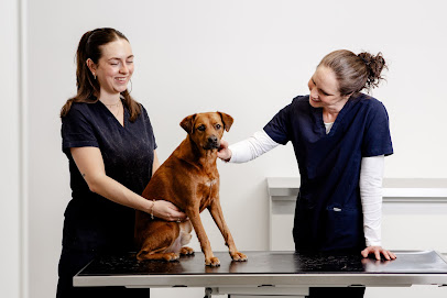 Tierarztpraxis in Junkersdorf