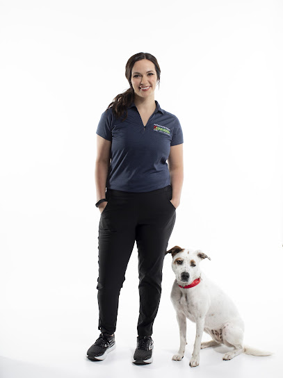 Bark Busters Home Dog Training Eden Prairie