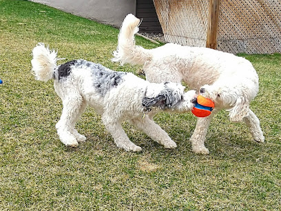 Woofhousin' the Cozy Canine Camp