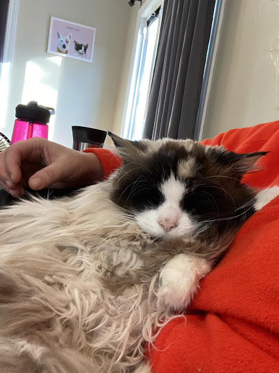 Woodlake Veterinary Hospital: Onffroy Joan R DVM - Pet Shop in Minneapolis