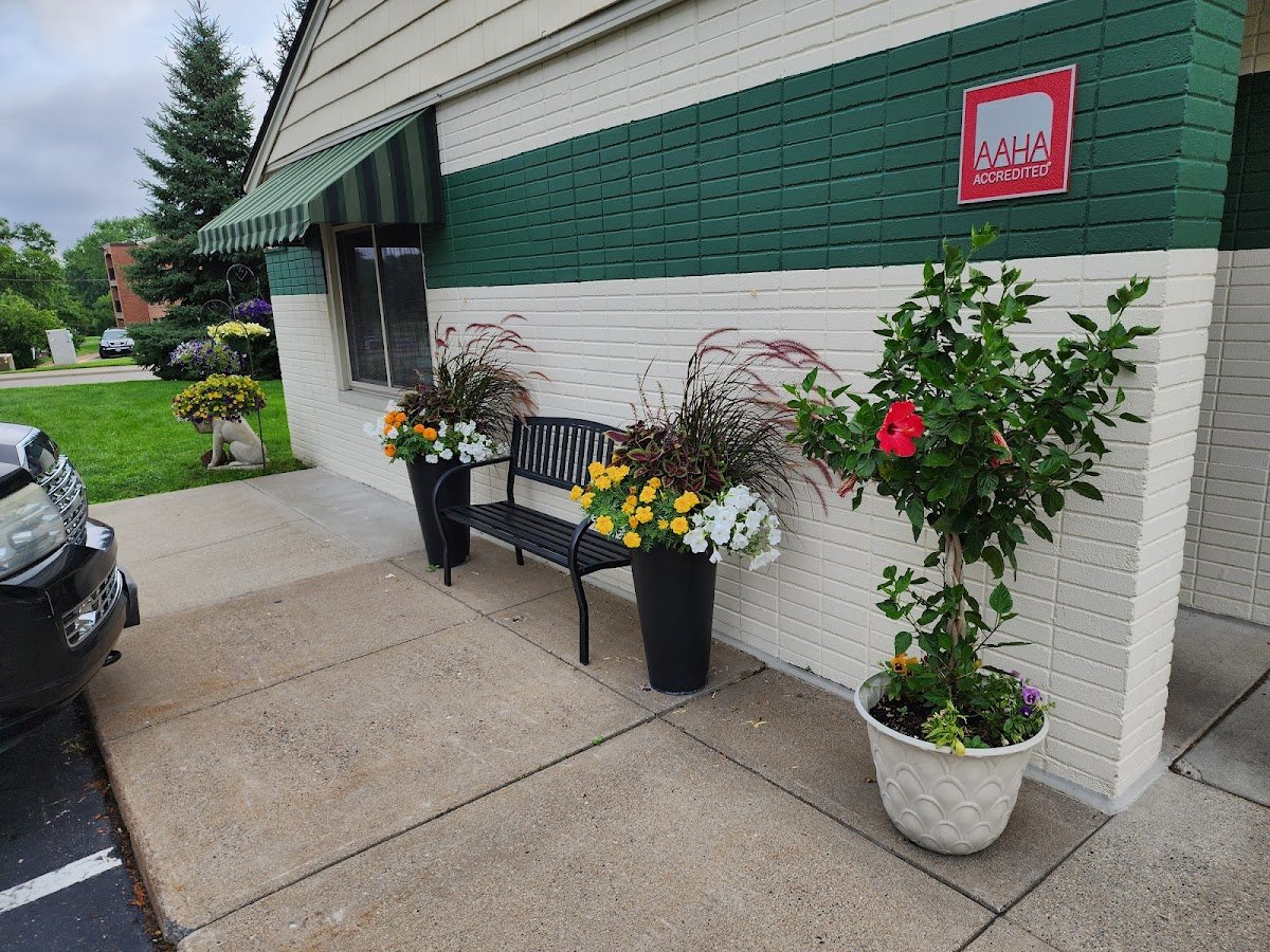 Bass Lake Pet Hospital - Photo 2