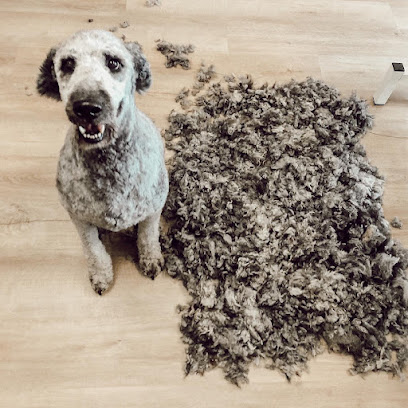 Hundefriseur Fellgeflüster - Tierhandlung in Köln