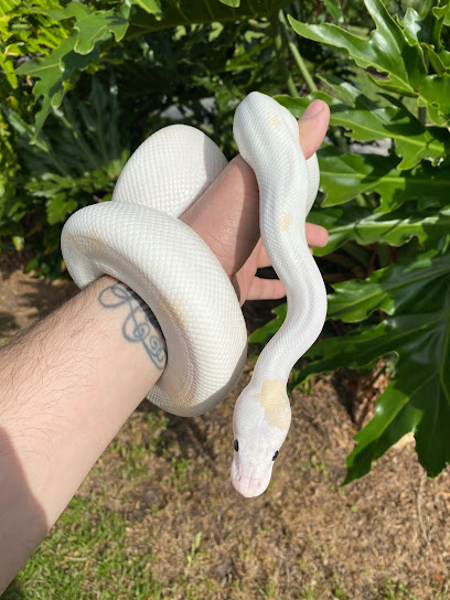 Southeast Reptile Exchange Inc.