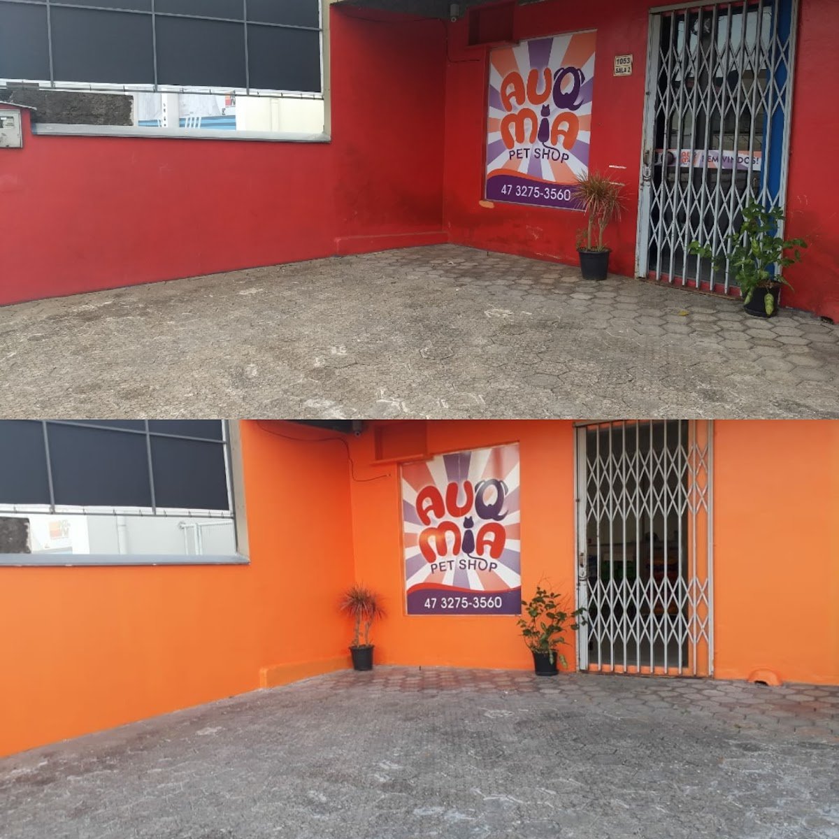 Auqmia - Pet Shop em Jaraguá do Sul