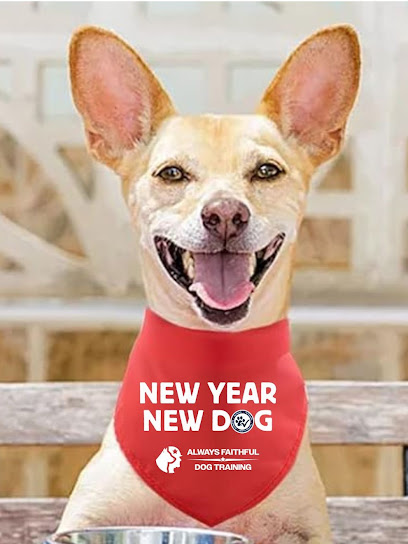 Always Faithful Dog Training St Pete / Clearwater