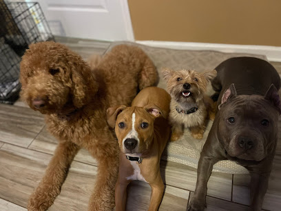 Imprint K9 Solutions