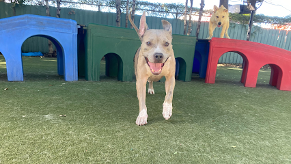 Paws 'n' Rec - Pearl