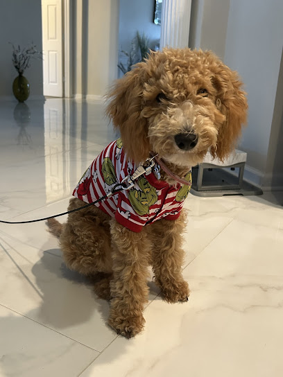Canine Dimensions In-Home Dog Training, Greater Tampa Bay, FL - Pet Shop in Tampa