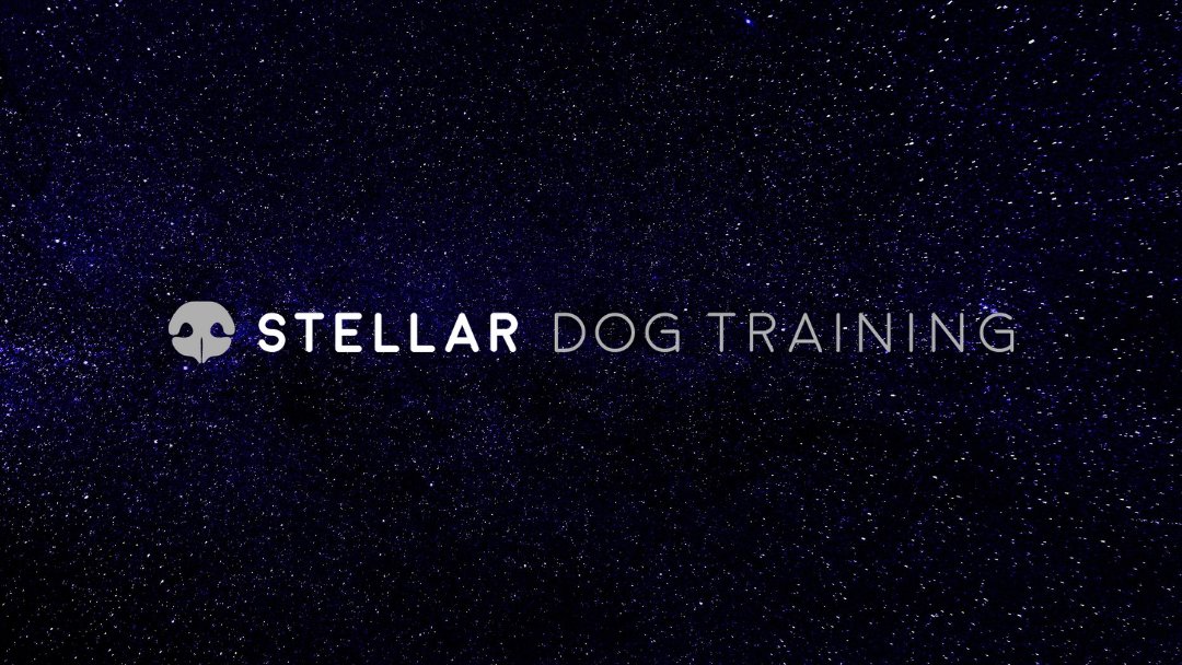 Stellar Dog Training - Photo 2