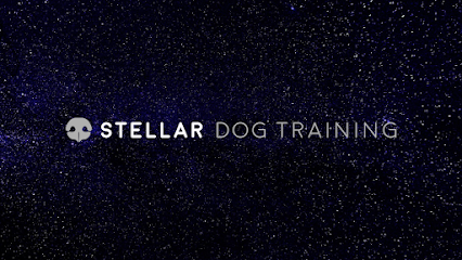 Stellar Dog Training