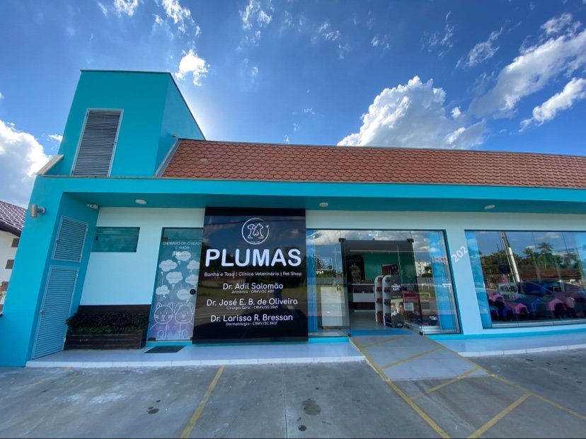 Pet Shop Plumas - Pet Shop em Jaraguá do Sul