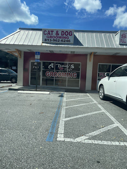 Dog Grooming Tampa LLC