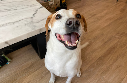 Sandy Paws Pet Care - Pet Shop in Tampa