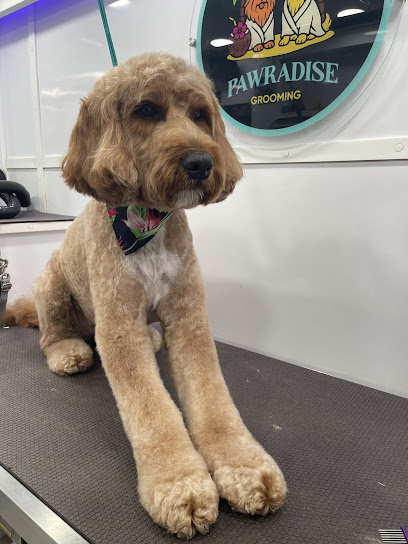 Pawradise Grooming Fl