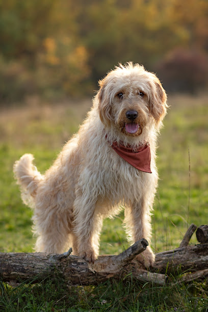 Mobile Tierbetreuung Butzbach