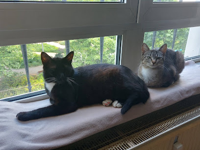 Vetmobil Dr. Lizcano - Mobiler Tierarzt in Frankfurt