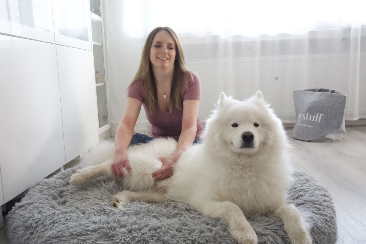 Kathi's Tierphysio - Foto 2
