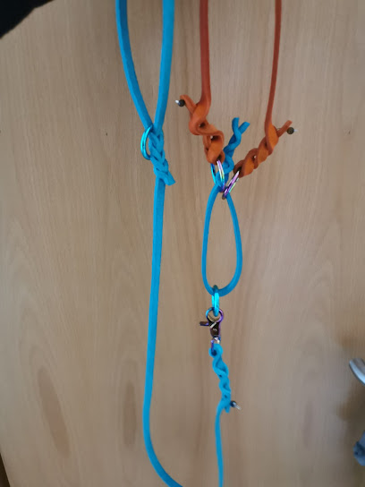 Jeanette Pacher Natur.Heil.Kraft. Mobile Tierheilpraxis