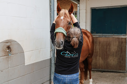 Chiro & Co. Esther Freytag | Pferdetierärztin mit Schwerpunkt Chiropraktik