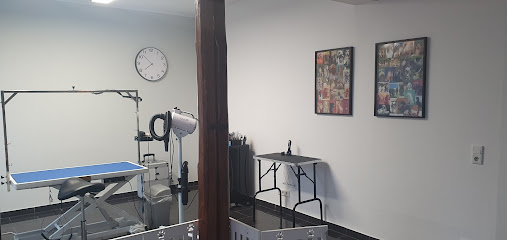 Shaggy Groom Hundesalon