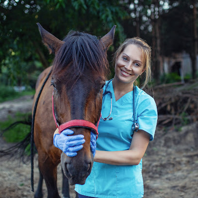 Tierärztliche Praxis für Pferdezahnheilkunde Anna Nowicka