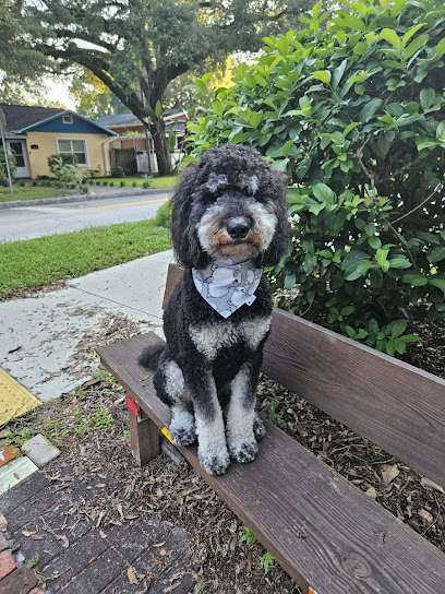 Waggin' At Your Door